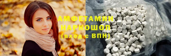 прущие грибы Михайлов