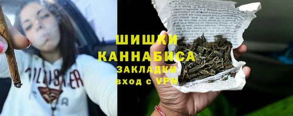 прущие грибы Михайлов