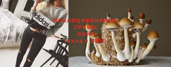 jwh Абинск