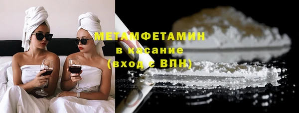 прущие грибы Михайлов