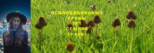 jwh Абинск